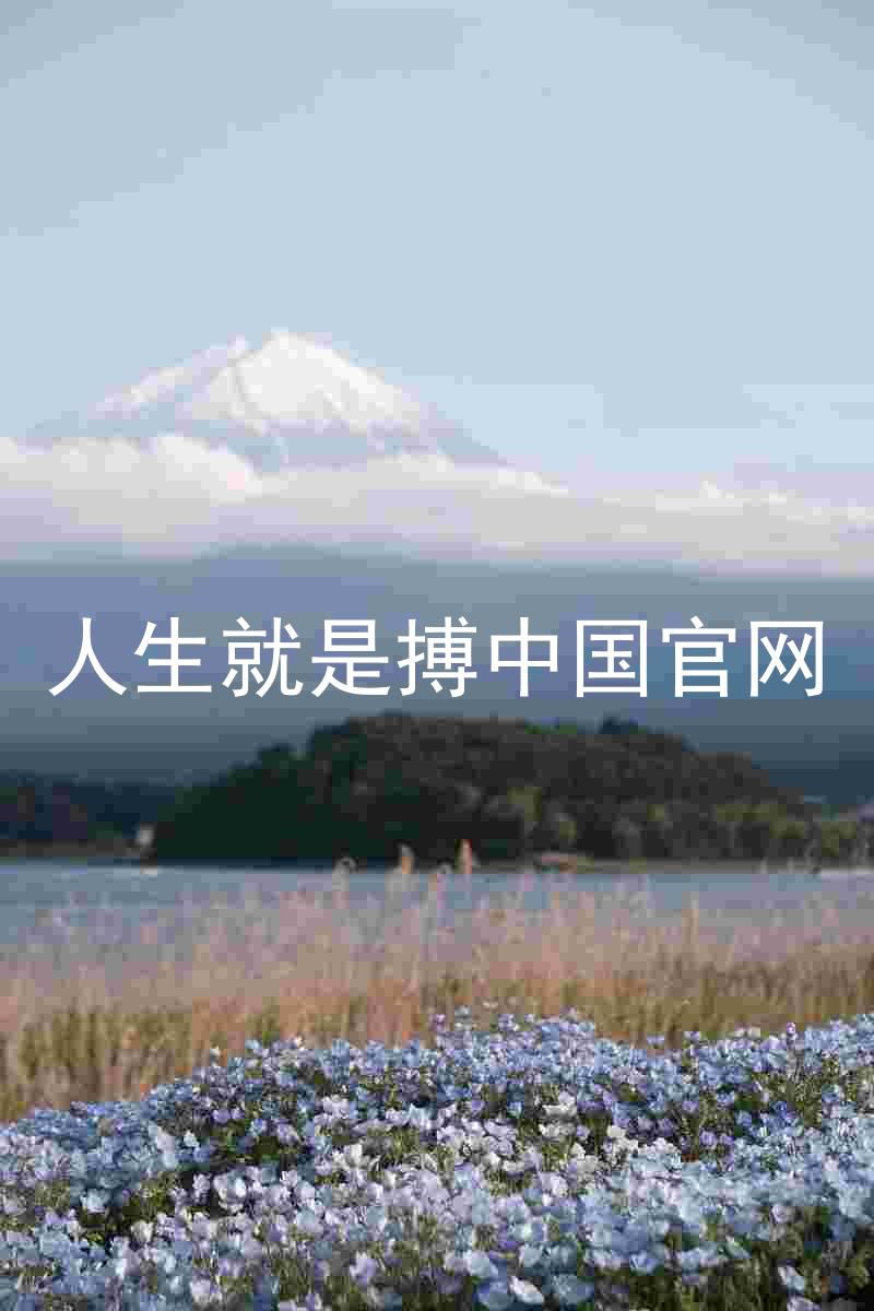 人生就是搏中国官网